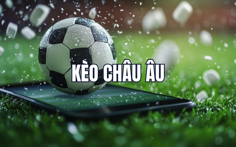 Thắng Lớn Với Review Hạ Long 2 Ngày 1 Đêm Bí Kíp Đọc Kèo & Chiến Thuật Cá Cược