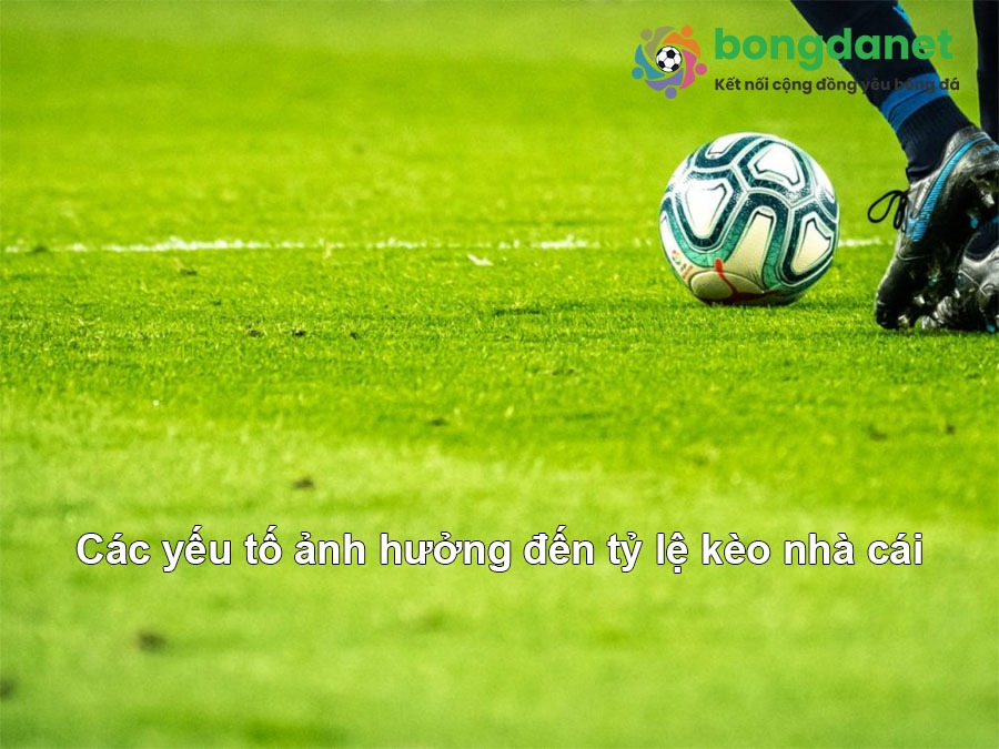 Giải Mã Định Giá Nhà Đất Bí Mật Thành Công Cá Cược