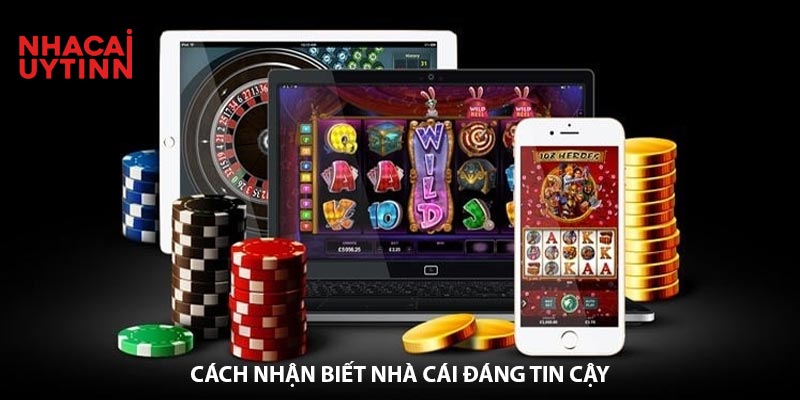 Phim Heo My Lựa Chọn Hàng Đầu Cho Giới Cá Cược