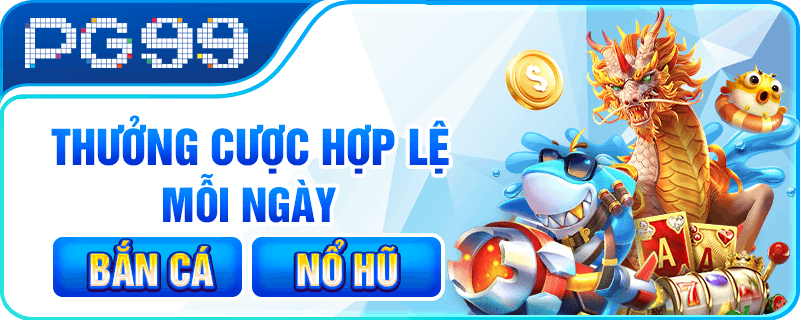 Khám Phá Đất Đà Nẵng Giá Rẻ Từ Cơ Bản Đến Chuyên Sâu