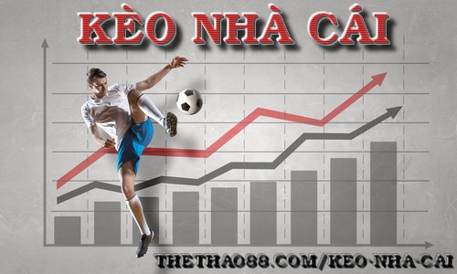 Giải Mã Bán Nhà Giá Rẻ Ở Hà Nội Bí Quyết Chiến Thắng Cho Dân Cá Cược